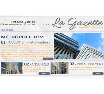 La Gazette De Limmobilier Dentreprise By Antoine Viallet Novembre 2020